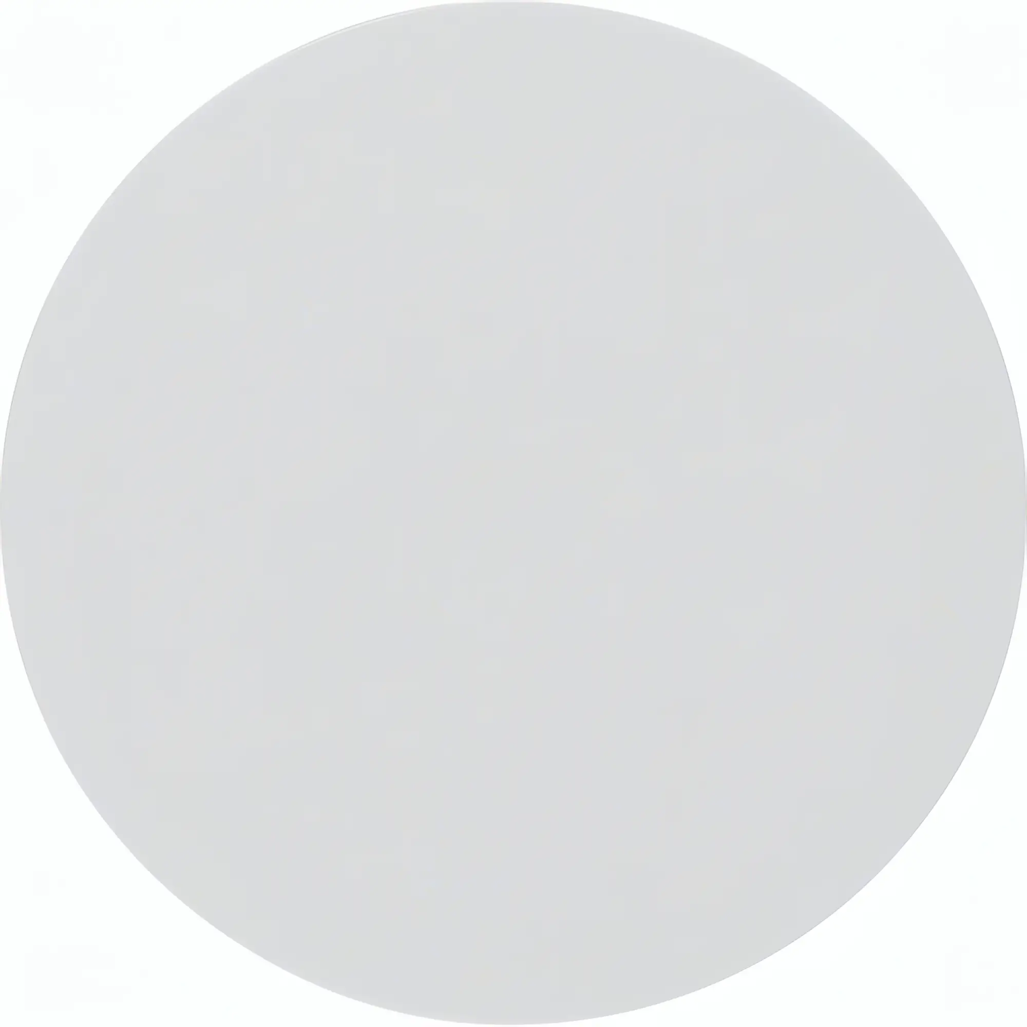 Клавіша вимикача Hager 16202089